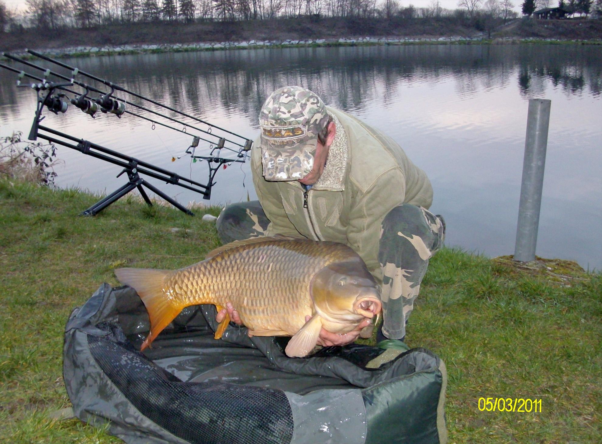 florian tanasa - alim0223.JPG